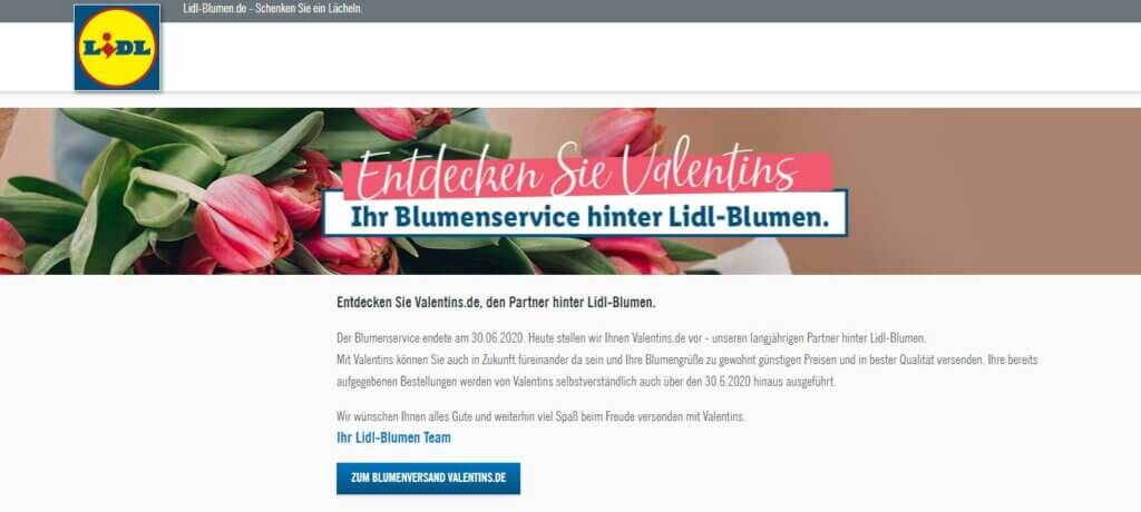 Lidl Blumen